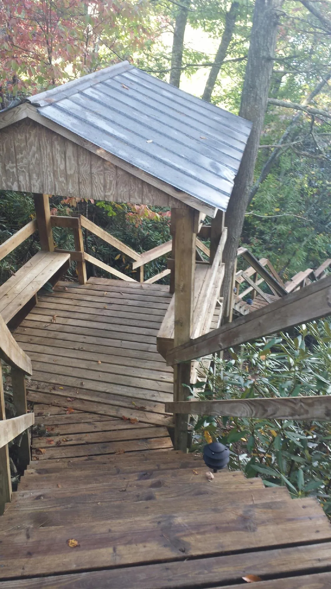 Metal roofed shelter over wooden steps on a wooded walkway — Skylight Repair & Installation work by our crew in Carlock